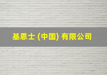 基恩士 (中国) 有限公司